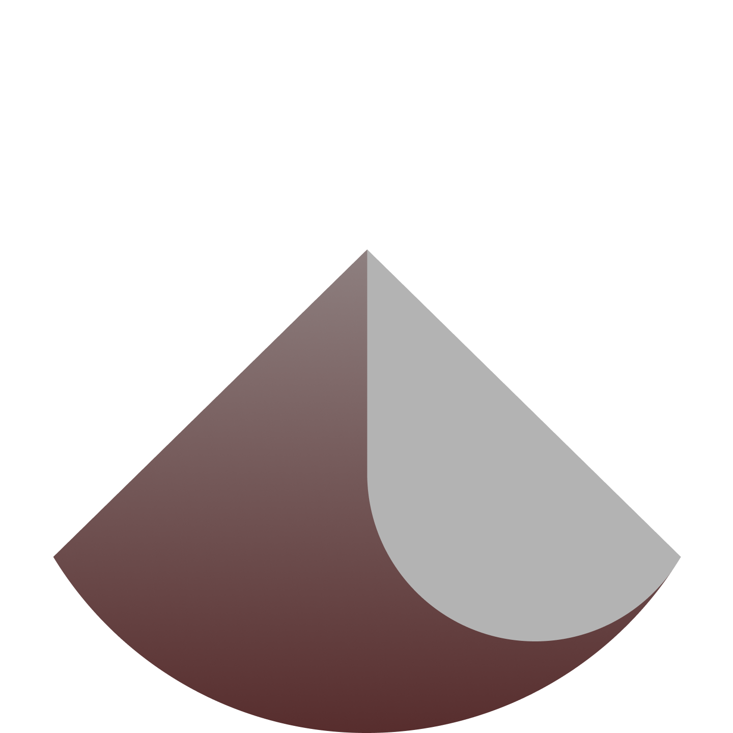 重庆隐南科技有限公司 Logo